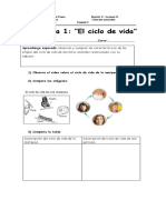 Guias Ciclo de La Vida