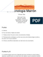 Biotecnologia Marrón