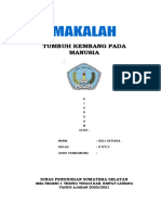 Pertumbuhan Manusia