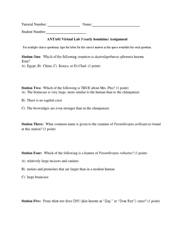 Lab 3 Assignment 2020 Fall 2020 | PDF