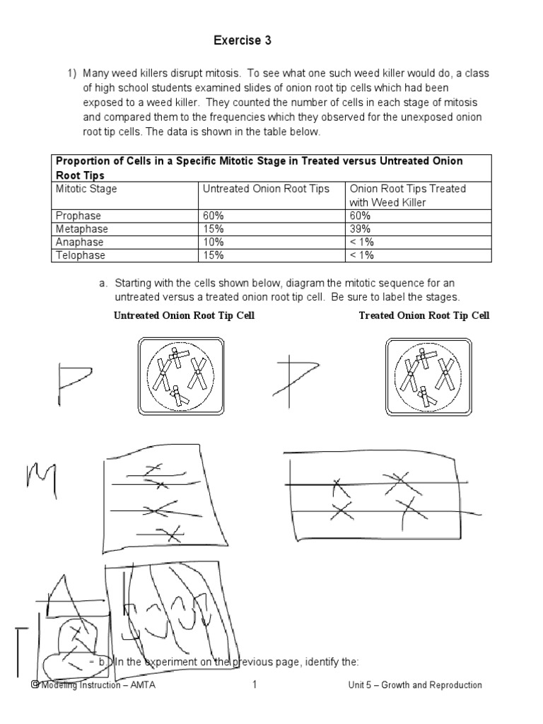 05 - Growth \u0026 Reproduction Exercise 3 | PDF | Mitosis | Biological Processes, image size:768x1024