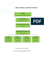 Struktur Organisasi Laboratorium