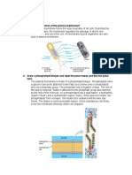 Review Questions Plasma Membrane 1. What Is The Function of The Plasma Membrane?