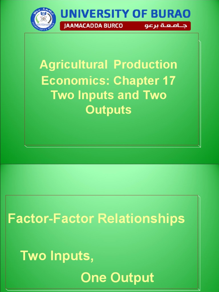 Agricultural Production Economics: Chapter 17 Two Inputs and Two ...