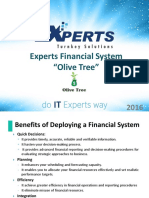 Experts Financial System "Olive Tree"