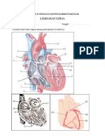 Lembaran kerja Anfis Sistem Kardiovaskular