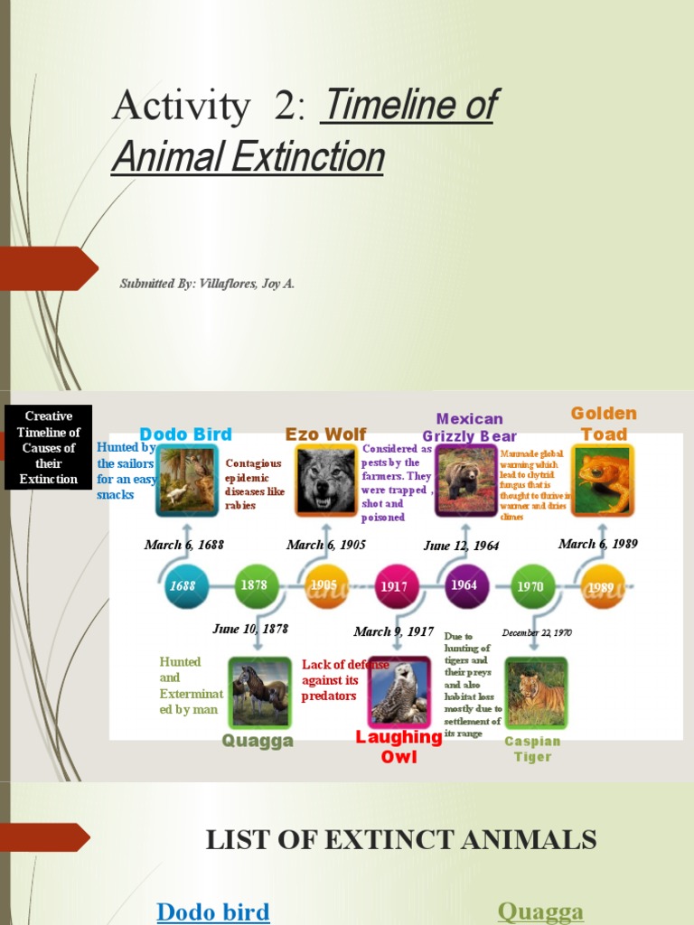 Timeline of Animal Extinction Activity 2 PDF Extinction Hunting