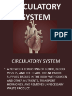 The Circulatory System Explained: Heart, Blood Vessels & Blood Flow