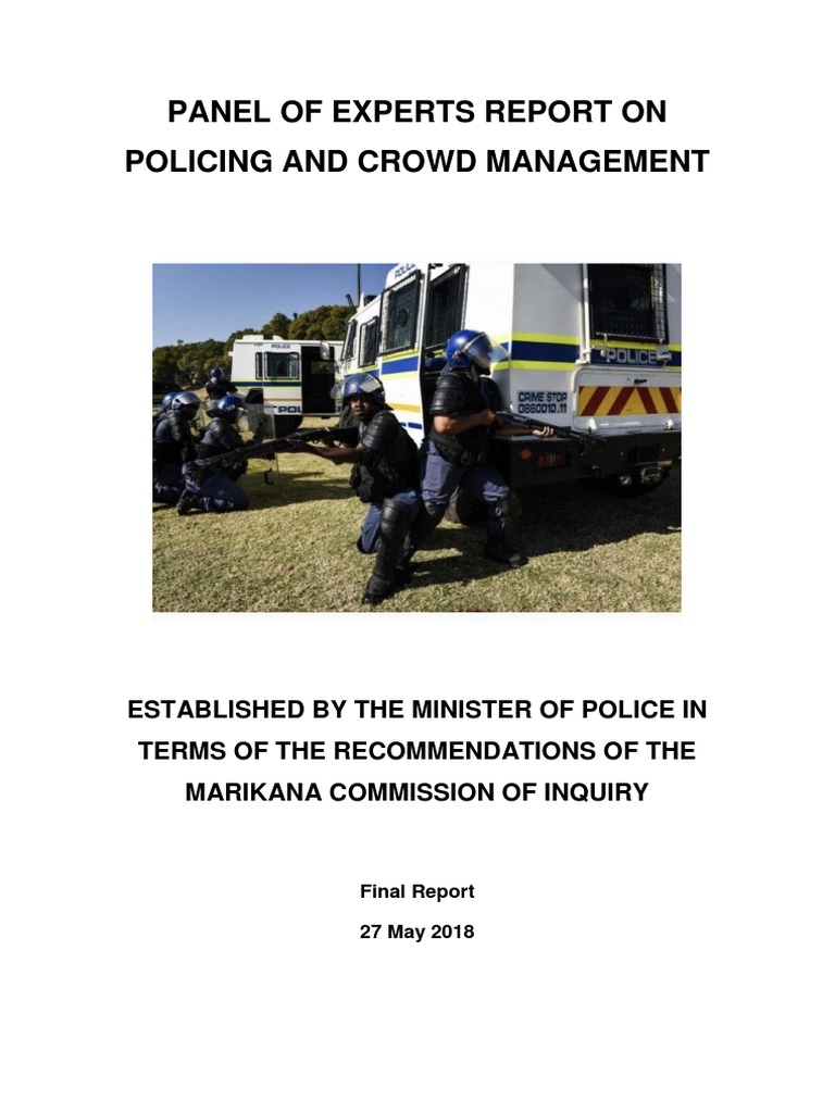 Panel of Experts Report On Policing and Crowd Management | PDF ...