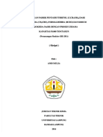 PDF Skripsi Full DD