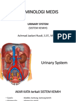 TERMINOLOGI MEDIS Urinary System