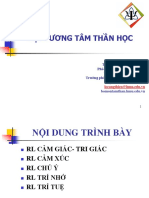 Dai Cuong Trieu Chung Hoc Tam Than