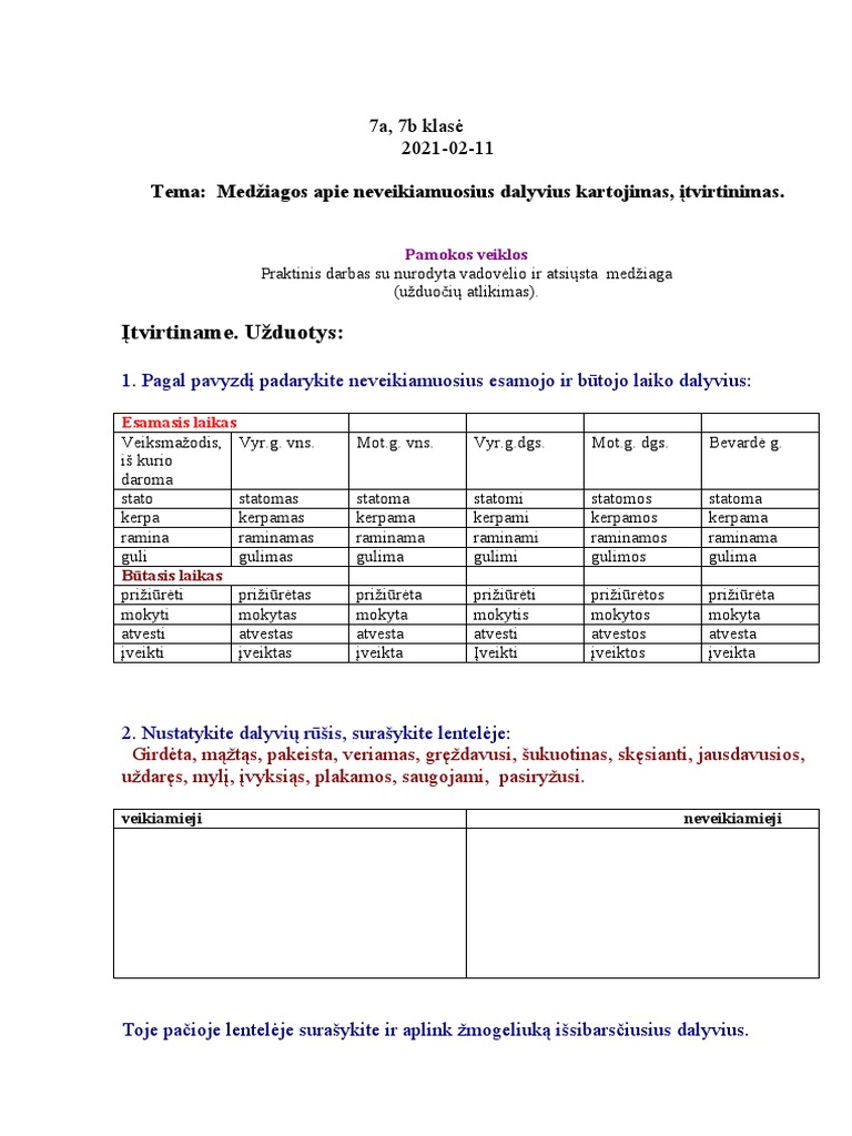 Dalyvis 5 | PDF
