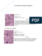 Identification et rôles des cellules sanguines