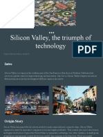 Silicon Valley, The Triumph of Technology: Radu Daniela Adina, Student
