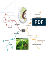 Impacto Ambiental-Mapa Mental.