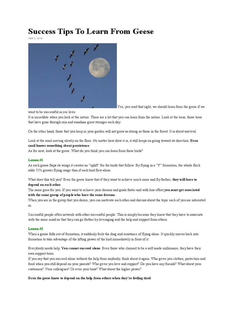 Success Lessons from Geese | PDF | Self-Improvement | Wellness