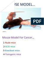 Mouse Model