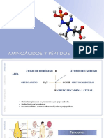 Aminoácidos y Péptidos