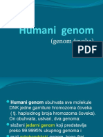 Humani Genom