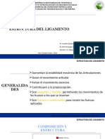 Estructura y composición de los ligamentos