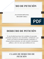 DERECHO DE PETICIoN