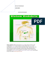 Tugas Sistem Endokrin