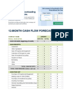 IC 12 Month Cash Flow Forecast 10846