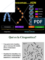 Semana 2