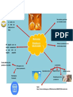 Mapa Mental 10 de Marzo