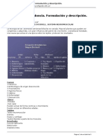 UVS Fajardo - 3.3-Ecuacin Ortodoncia. Formulacin y Descripcin. - 2014-07-28