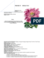 Crizantema - Proiect Didactic-Final
