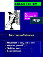 Muscular System: By: DR - Sanaa Al Shaarawy
