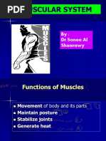 Muscular System: By: DR - Sanaa Al Shaarawy