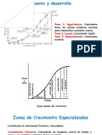 FisVeg Sem2