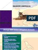 Bab8kingdom Animalia