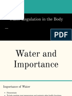 Water Regulation in The Body