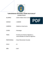 Universidad Nacional Pedro Ruiz Gall8