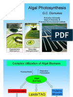 Algal Photosynthesis: G.C. Dismukes
