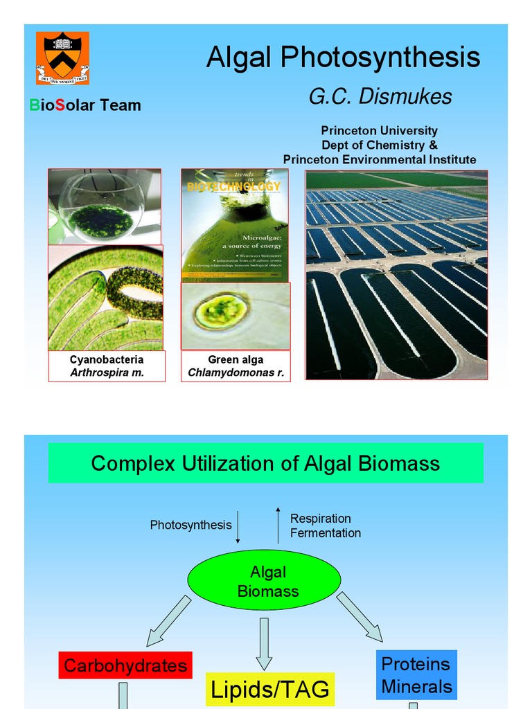 Algal Photosynthesis_dismukes Photosynthesis Photochemistry