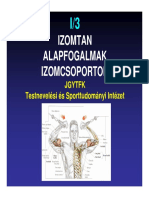 03 Bsc Anatomia Izomtan