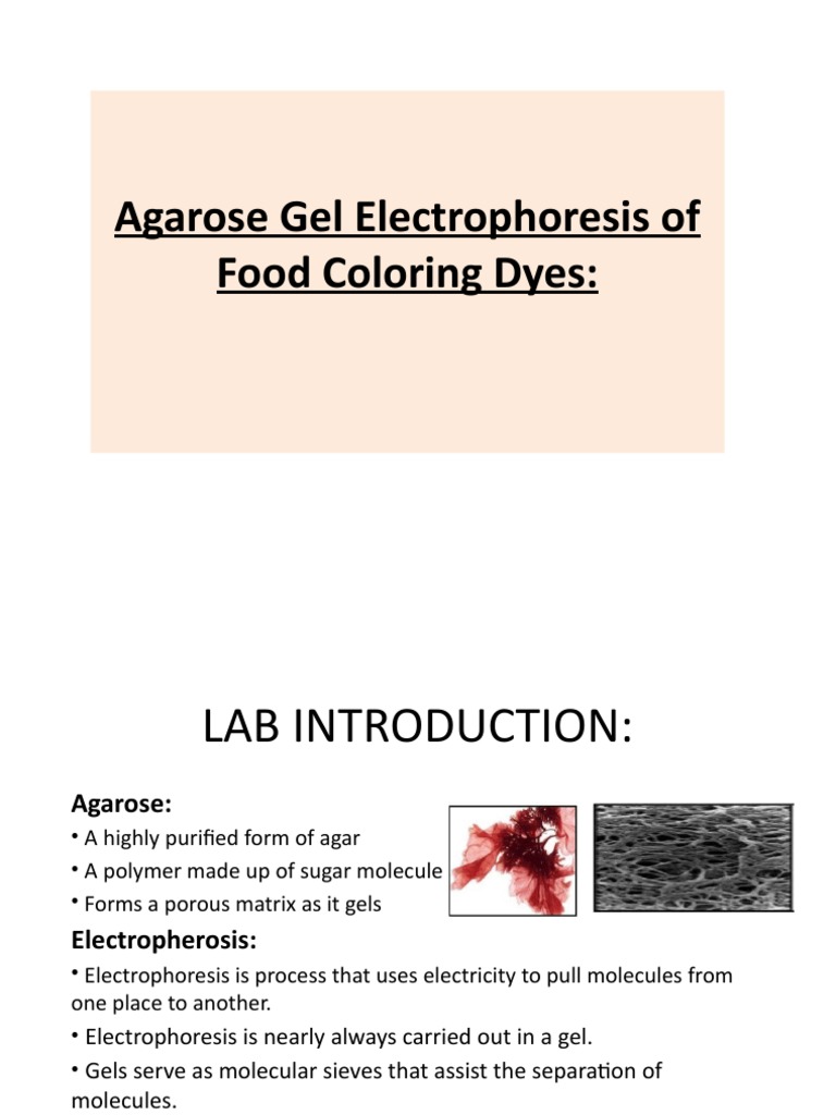 Agarose Gel Electrophoresis of Food Coloring Dyes PDF