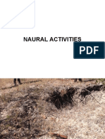 Natural and Human Activities