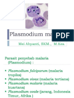 2 - Protozoa SBG Parasit BG Manusia-3
