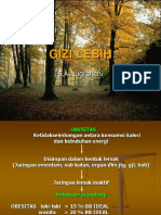 Gizi Lebih