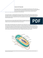 Bahan Bacaan MikDas 4 - Structures of Prokaryotic Cells - En.id