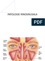 Patologie Rinosinusala Orl1