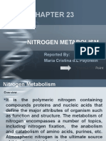 Nitrogen Metabolism: Reported By: Maria Cristina D.L Payofelin