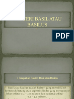 Bakteri Basil Atau Basilus