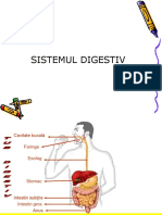 sistemuldigestiv